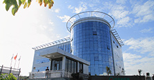 2006