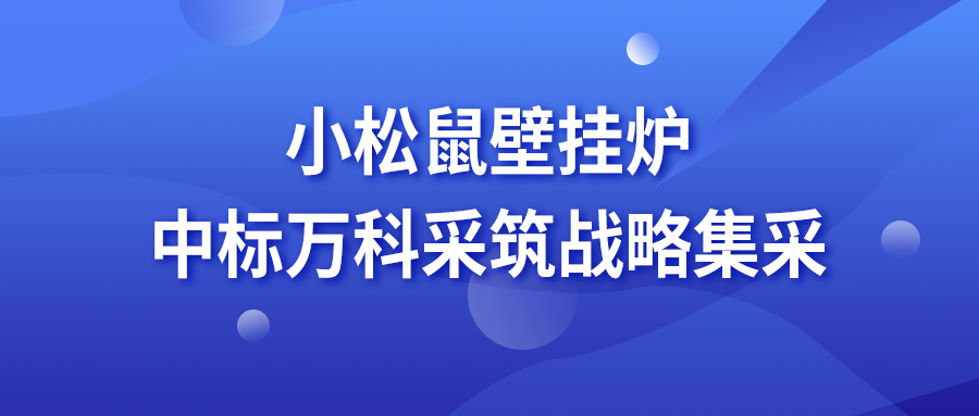 小松鼠壁挂炉