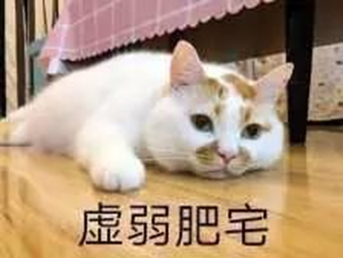 图片5.png